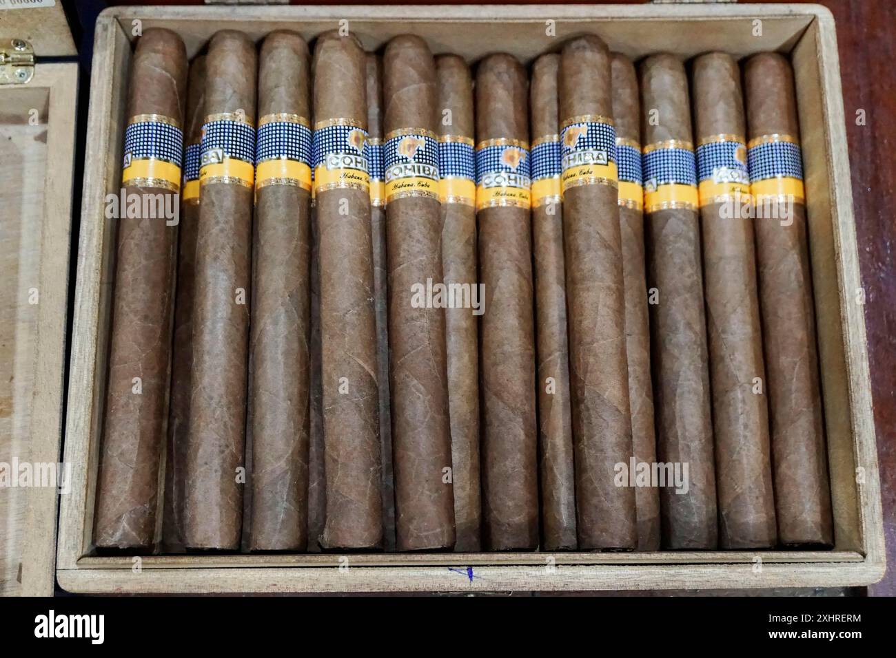 Cuba, grandi Antille, Caraibi, America centrale, America, una scatola di legno piena di diversi sigari Cohiba, pronta per la vendita, l'Avana Foto Stock