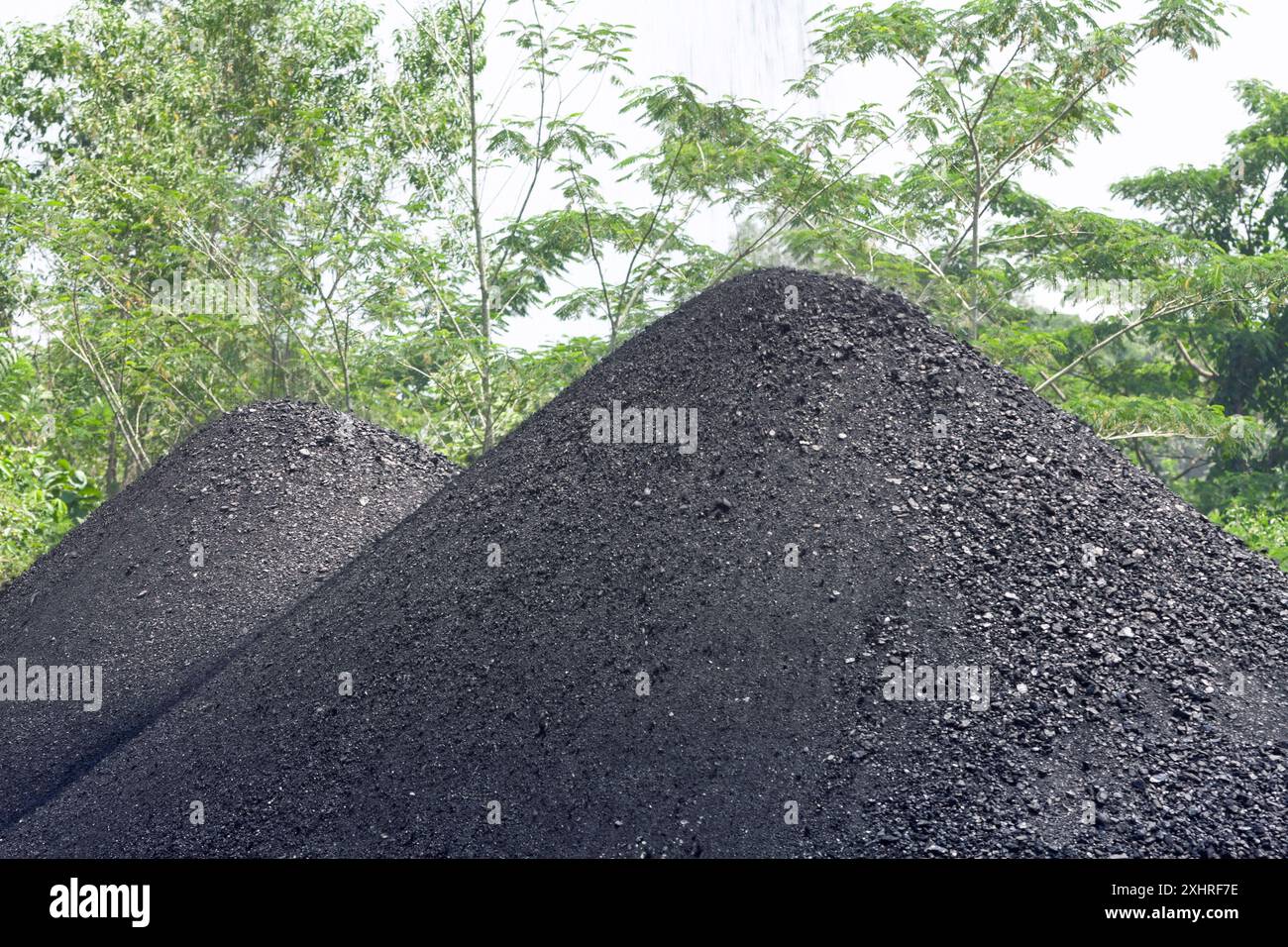 Borneo, Indonesia, 15 settembre 2008: Processo di palificazione del carbone presso lo stabilimento. Foto Stock