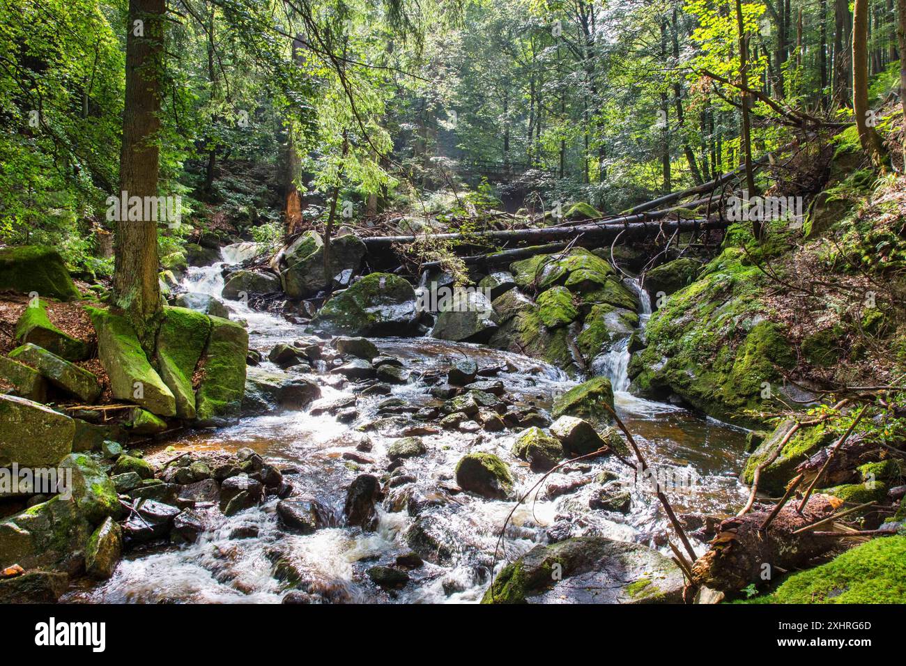 Il torrente Ilse nella valle Ilse, sentiero escursionistico per il Brocken, 10 agosto 2014, Ilseburg, Sassonia-Anhalt, Germania Foto Stock