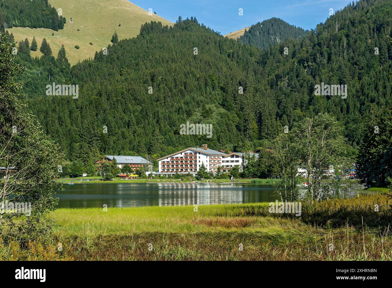 Arabella Alpenhotel, lago di montagna con laghetto, equiseto d'acqua (Equisetum fluviatile) e villaggio Spitzingsee, comune di Schliersee Foto Stock