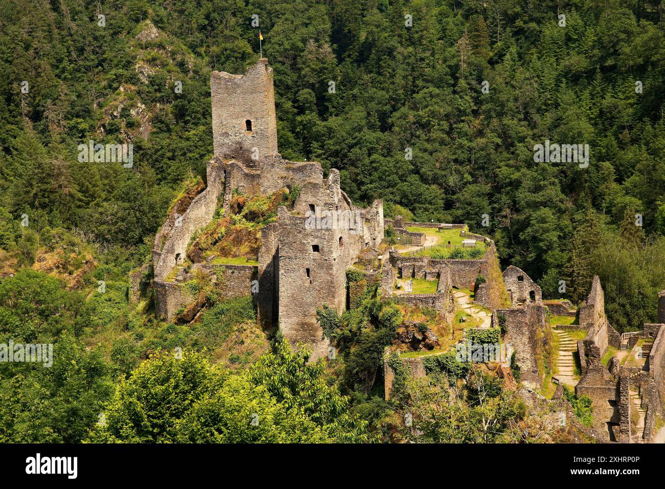 Le rovine del castello di Manderscheid, dell'Eifel meridionale, dell'Eifel, della Renania-Palatinato, Germania Foto Stock