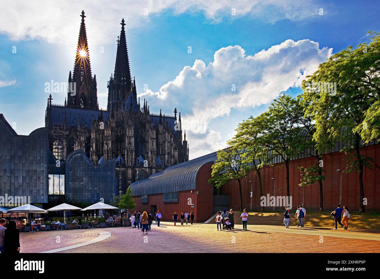 Heinrich-Boell-Platz con la Cattedrale di Colonia e il Museo Ludwig, Colonia, Renania settentrionale-Vestfalia, Germania Foto Stock