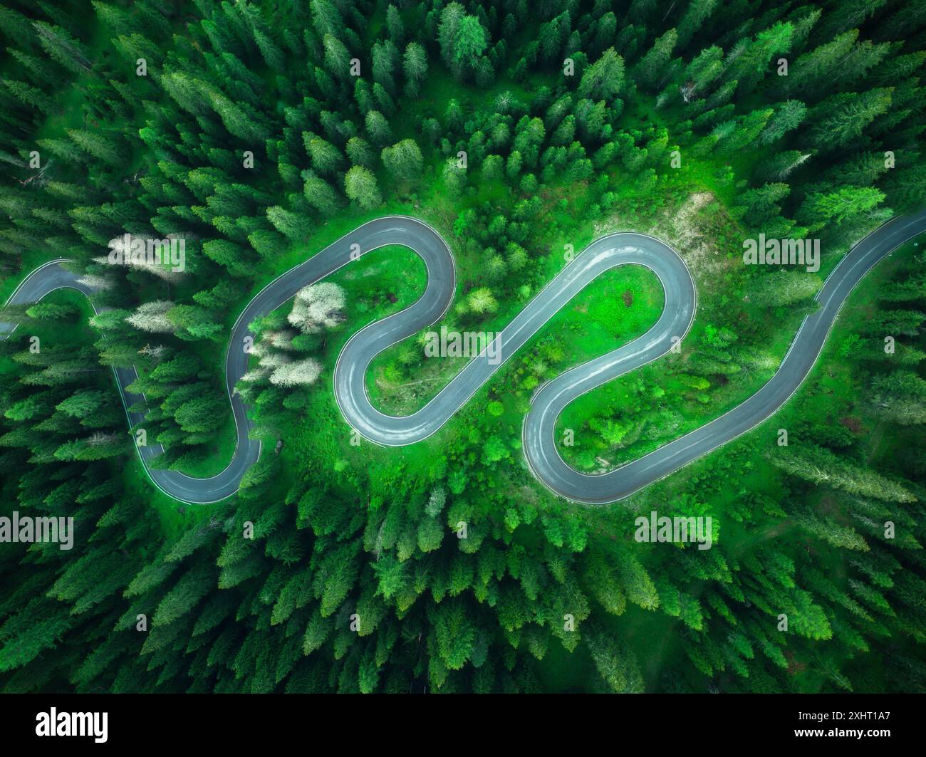 Vista aerea della strada bagnata e della foresta verde in estate Foto Stock
