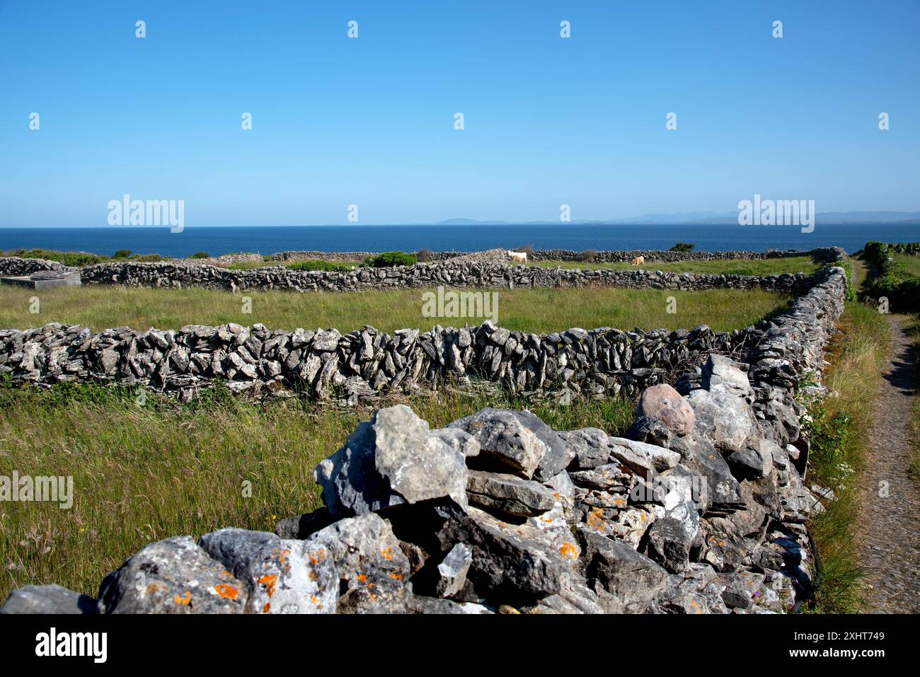 Splendido paesaggio di Inishmore sull'isola di Aran con pareti in pietra sui campi, Co, Galway, Irlanda Foto Stock