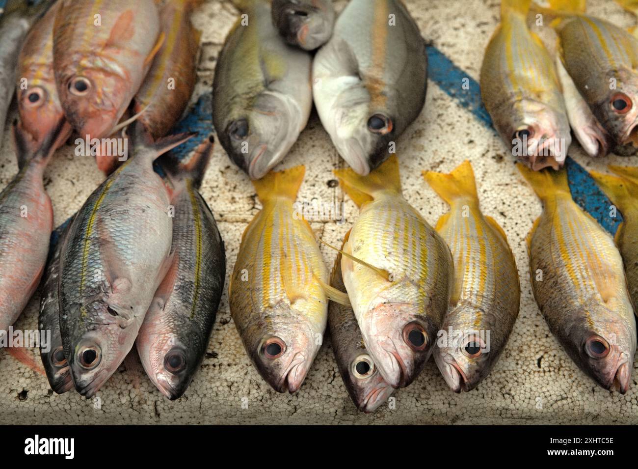 Pesci freschi in un mercato tradizionale di Waibakul, Anakalang, Katikutana, Sumba centrale, Nusa Tenggara orientale, Indonesia. Foto Stock