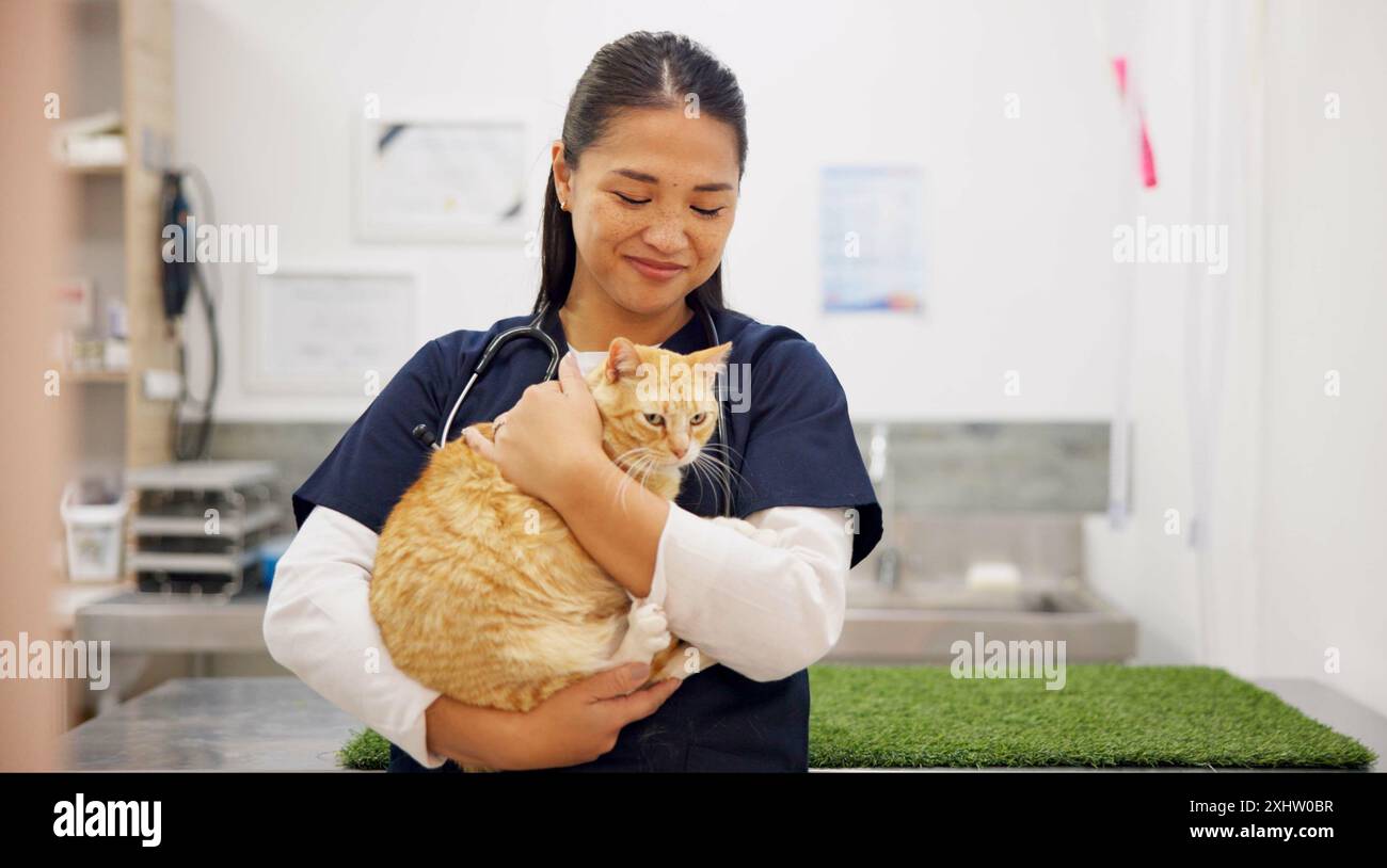 Medico, gatto e cura per check-up in clinica con amore, abbraccio e esame medico per servizi animali di salute. Sorridi, donna e gattino per l'assistenza sanitaria Foto Stock