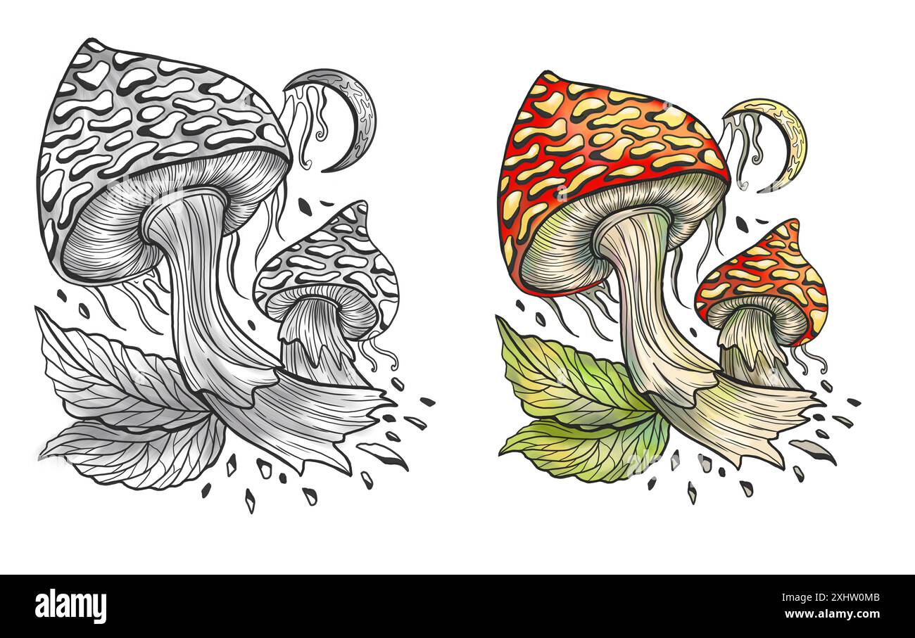 Funghi mistici celesti con elementi decorativi magici e floreali, simboli di stregoneria isolati sul bianco. Oggetti esoterici e strepitosi, tatuaggi Foto Stock