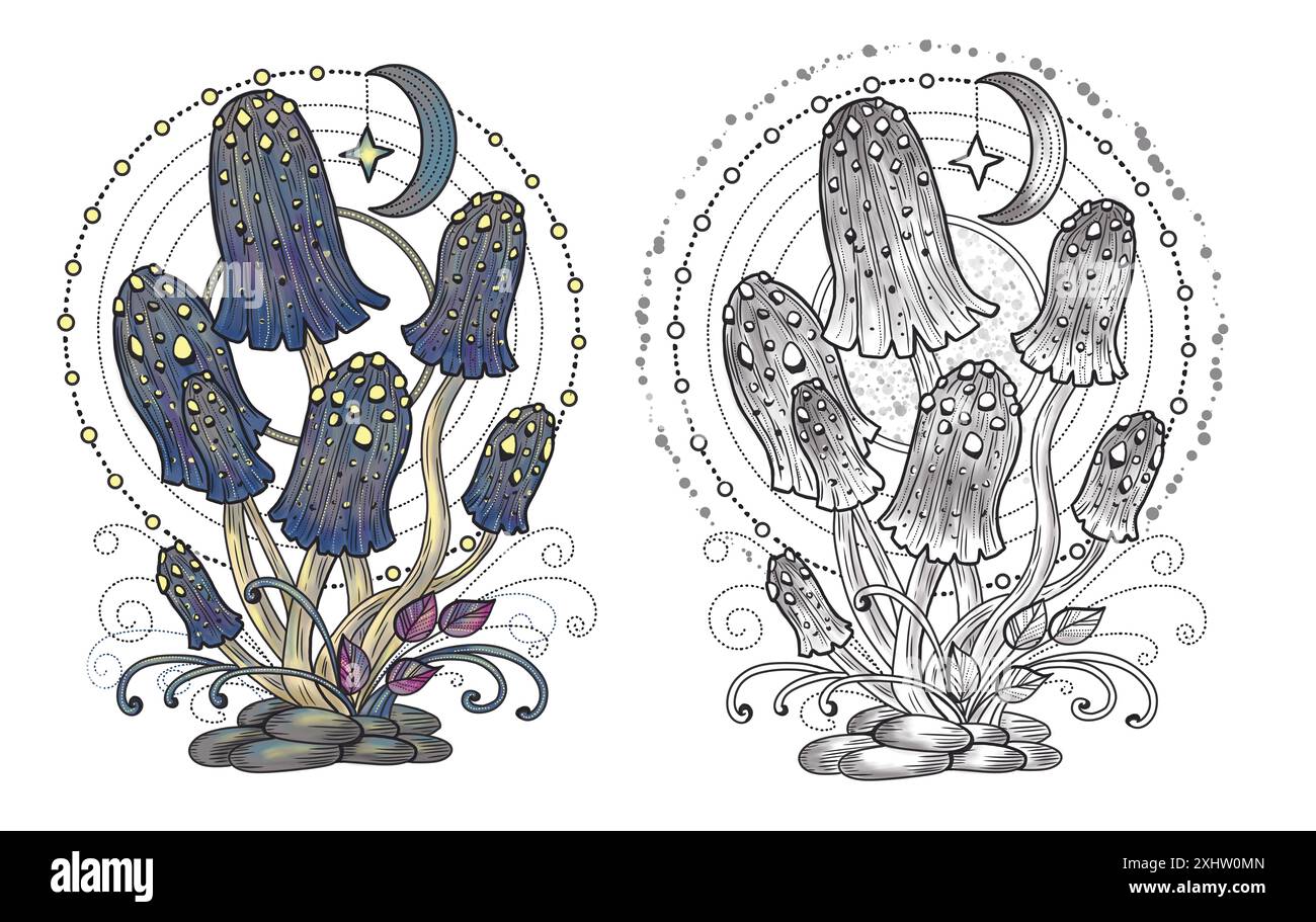 Funghi mistici celesti con elementi decorativi magici e floreali, simboli di stregoneria isolati sul bianco. Oggetti esoterici e strepitosi, tatuaggi Foto Stock