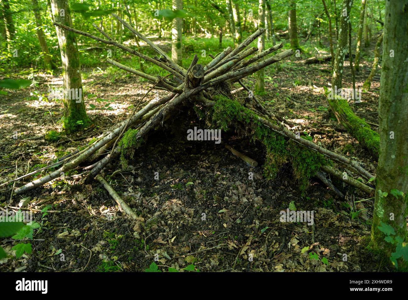 Piccola capanna o rifugio fatto di rami d'albero, bastoni e ramoscelli in una foresta in Europa. Copertura verde delle foglie estive, grandangolo, nessuna gente. Foto Stock