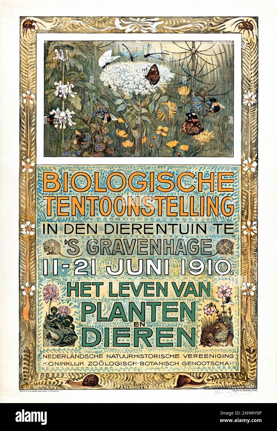 HOYTEMA Theo van - Biologische Tentoonstelling, Het Leven van Planten en Dieren, giugno 1910, - Stampa vintage Art Nouveau Foto Stock