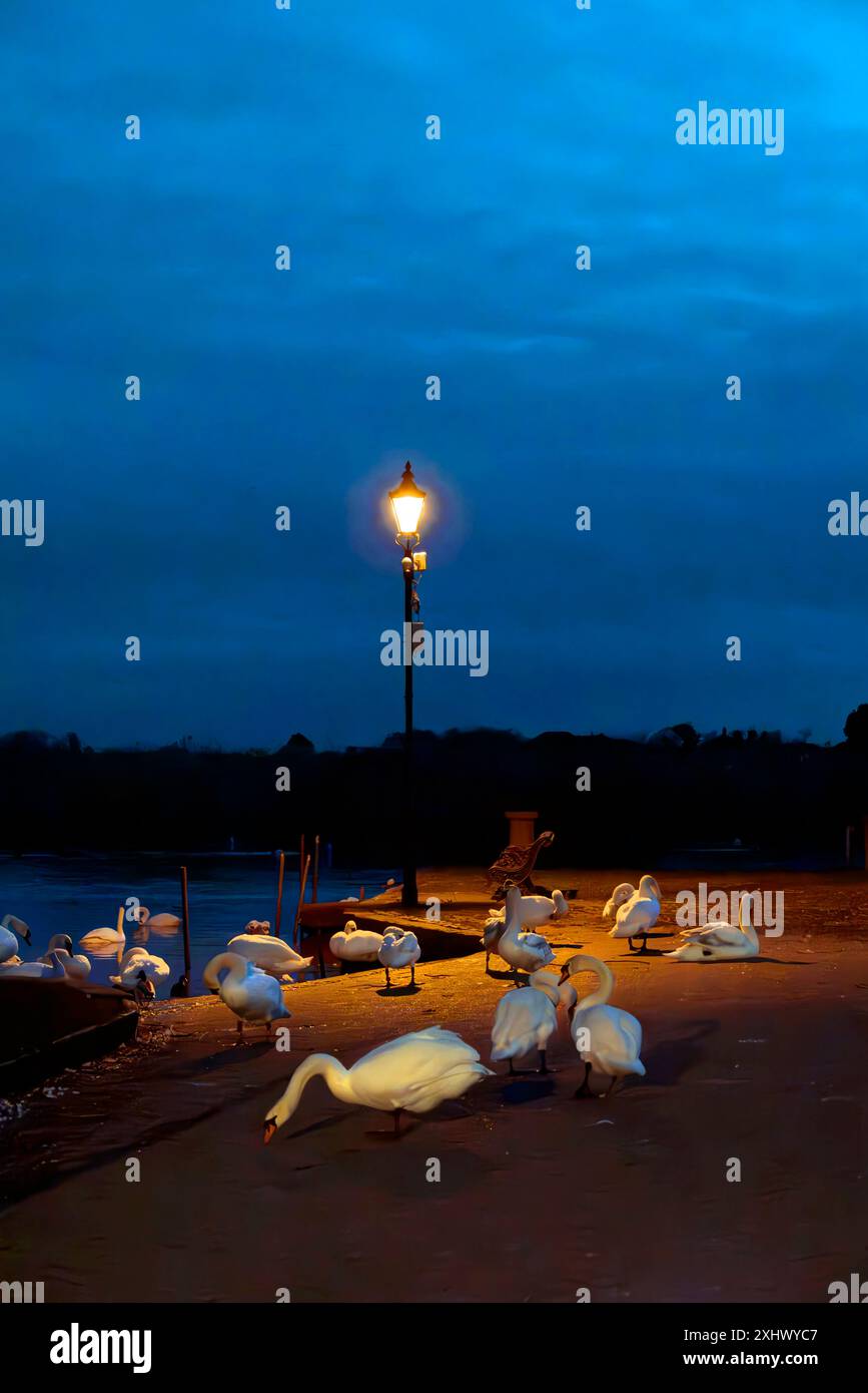 Christchurch Quay al crepuscolo Foto Stock