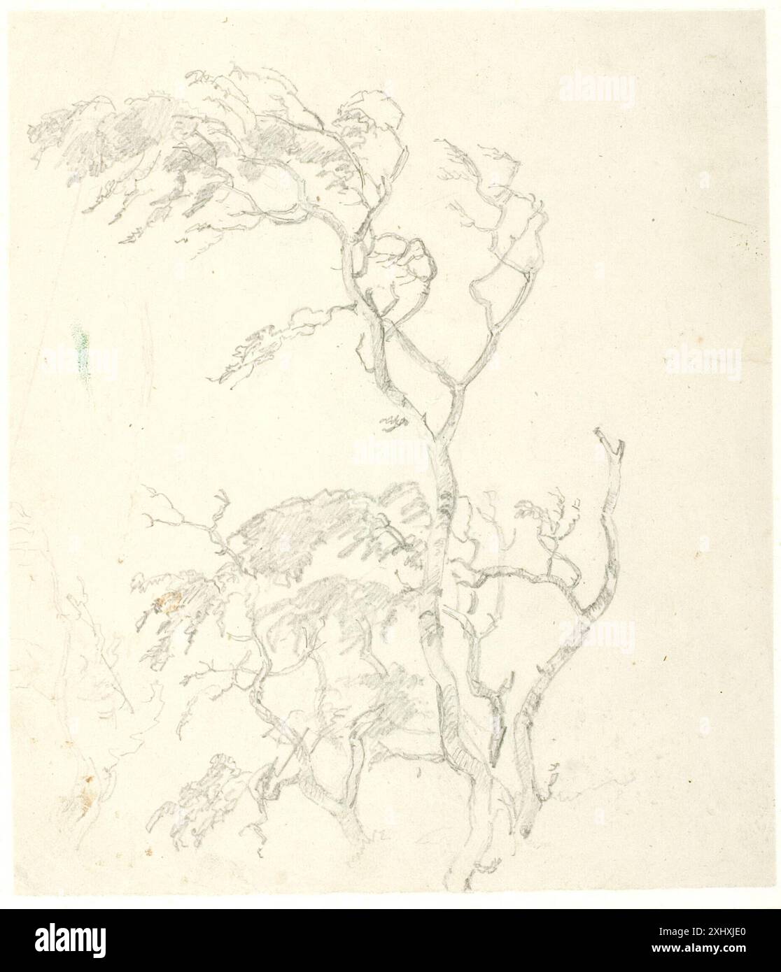 Studi di corone in legno Dreyer, Dankvart 1816 - 1852 disegno Dankvart Dreyer 1816-1852: Malerier og tegninger, Suzanne Ludvigsen, kat.nr. 34, omt. pag. 47, 53583, 1989. Maleren Dankvart Dreyer, Suzanne Ludvigsen, BD 1, pag. 130, C 41271:1-2, 2008. Naturfortrolighed: Dankvart Dreyer 1816-1852, Ubekendt, P. 69, kat. 79, D 35456, [2006] Studier af trækroner Foto Stock