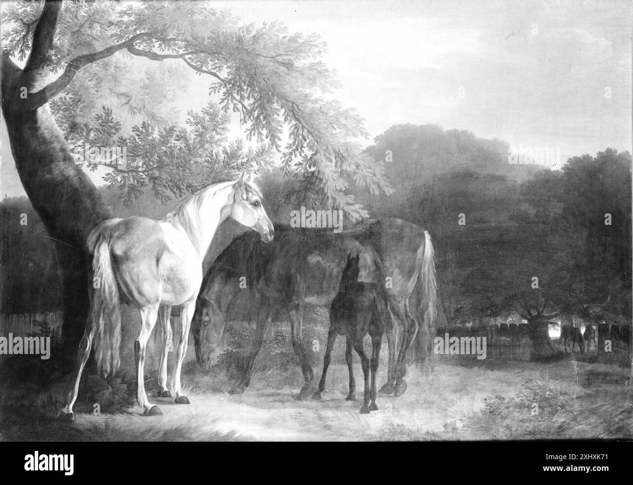 Il dipinto di Christian David Gebauer raffigura cavalli in un ambiente boschivo, mostrando animali, alberi, terreno, fogliame, postura e ambiente naturalistico. Foto Stock