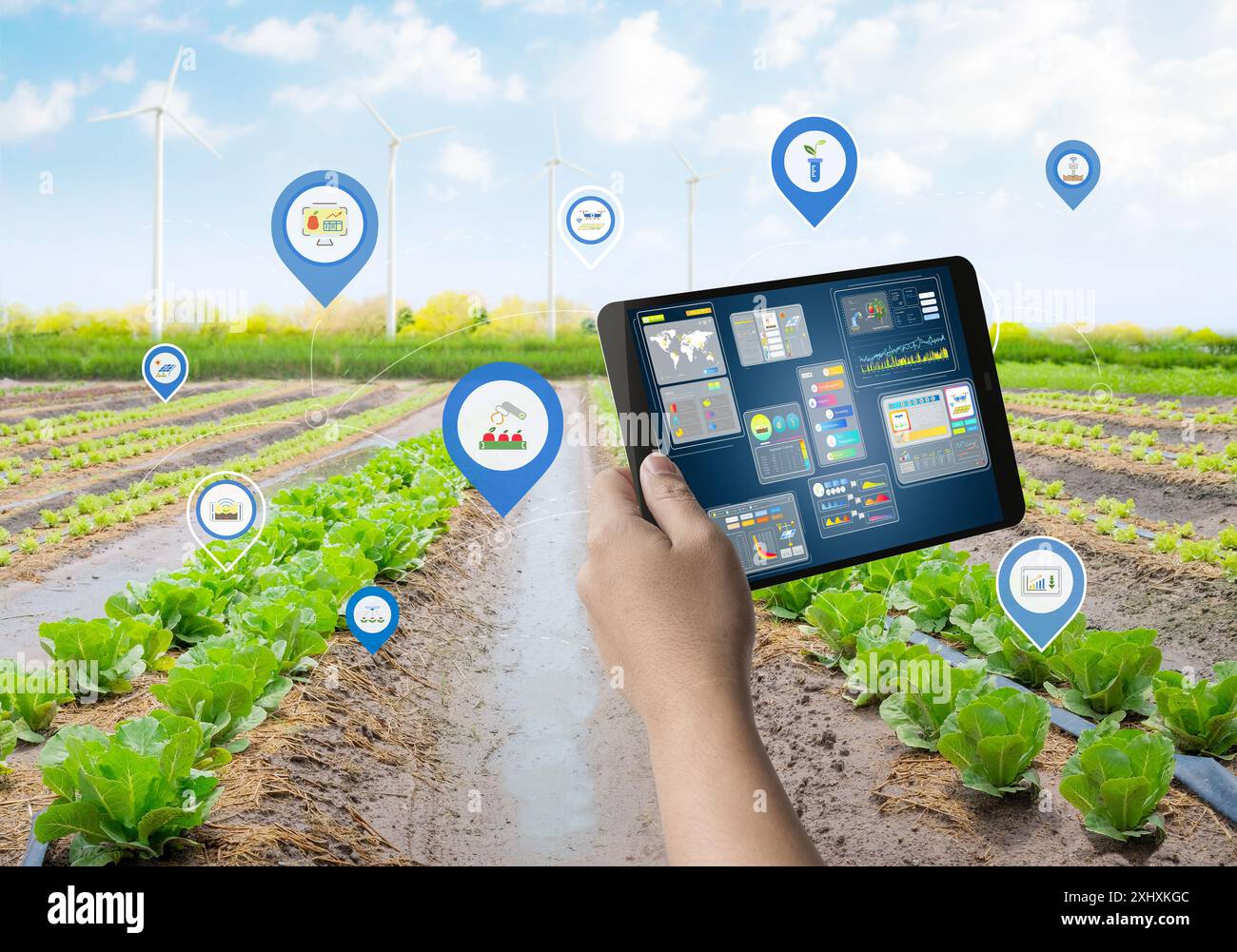 Concetto di tecnologia per l'agricoltura con collegamento intelligente al tablet digitale Foto Stock