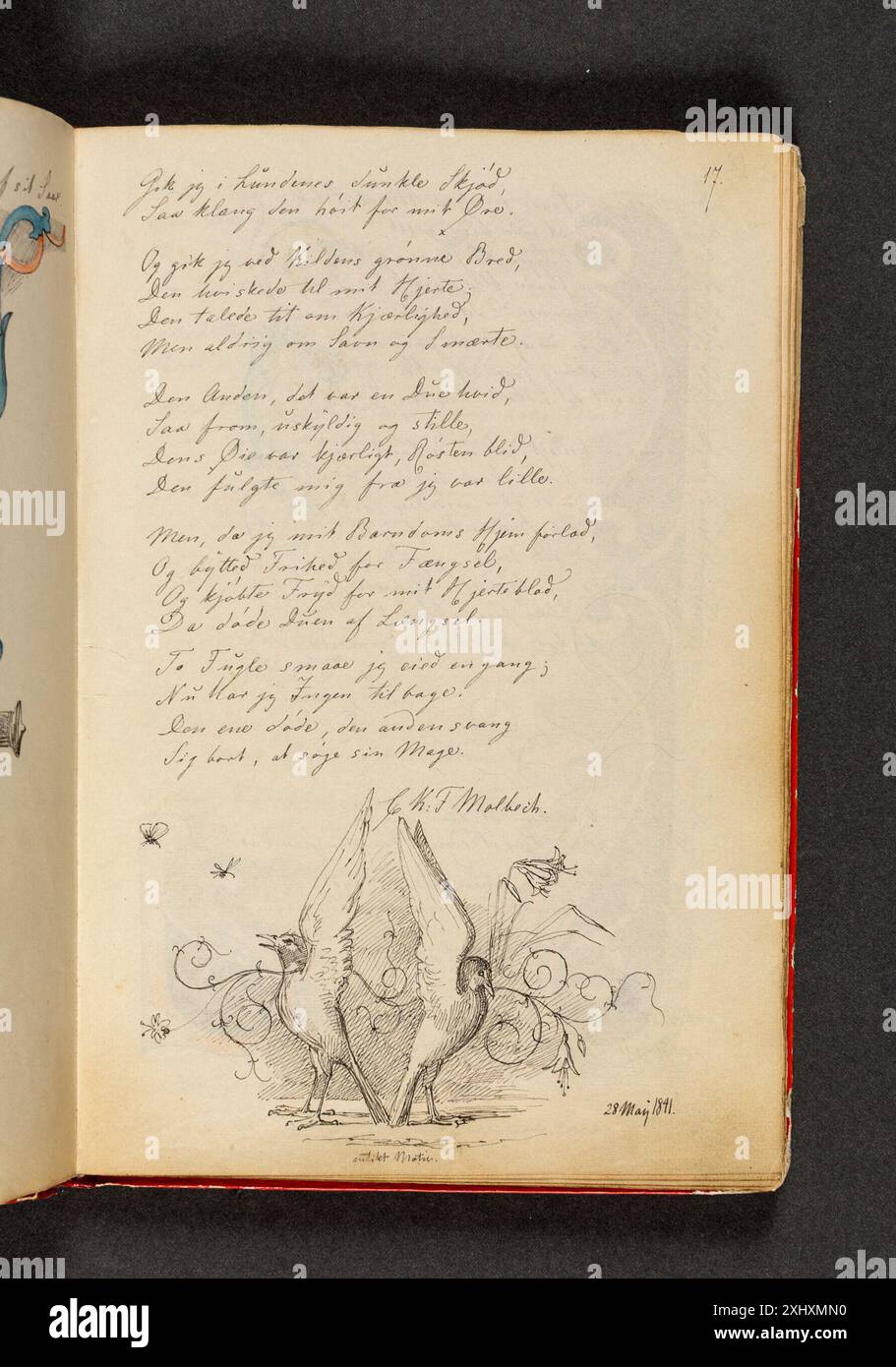 Disegno di Johan Thomas Lundbye raffigurante due piccioni con ali rialzate in piedi simmetricamente coda a coda, con uno sfondo ornamentale, creato all'inizio del XIX secolo, parte di studi decorativi danesi. Foto Stock