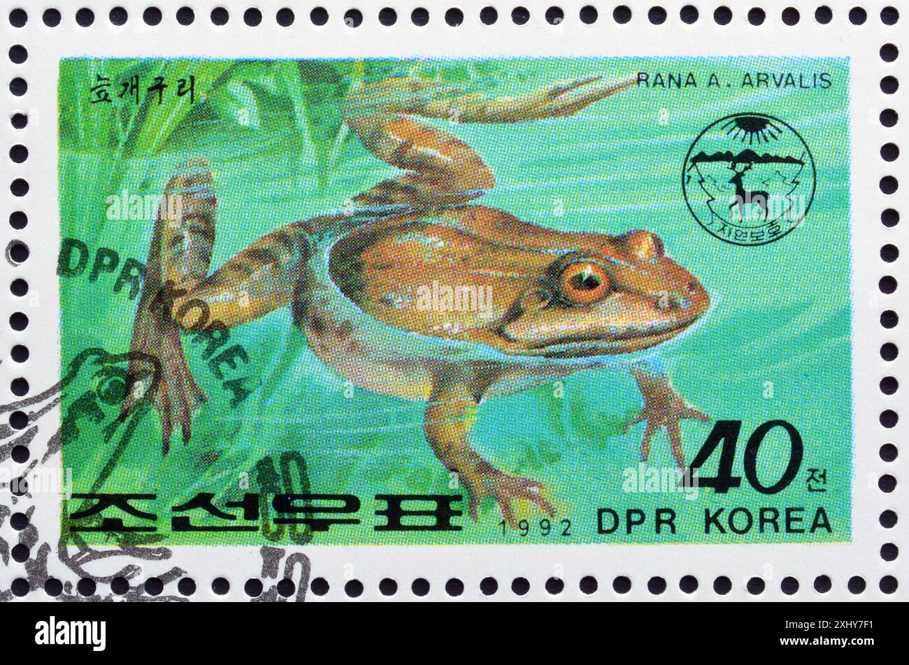 Francobollo cancellato stampato dalla Corea del Nord, che mostra Moor Frog (Rana arvalis), circa 1992. Foto Stock