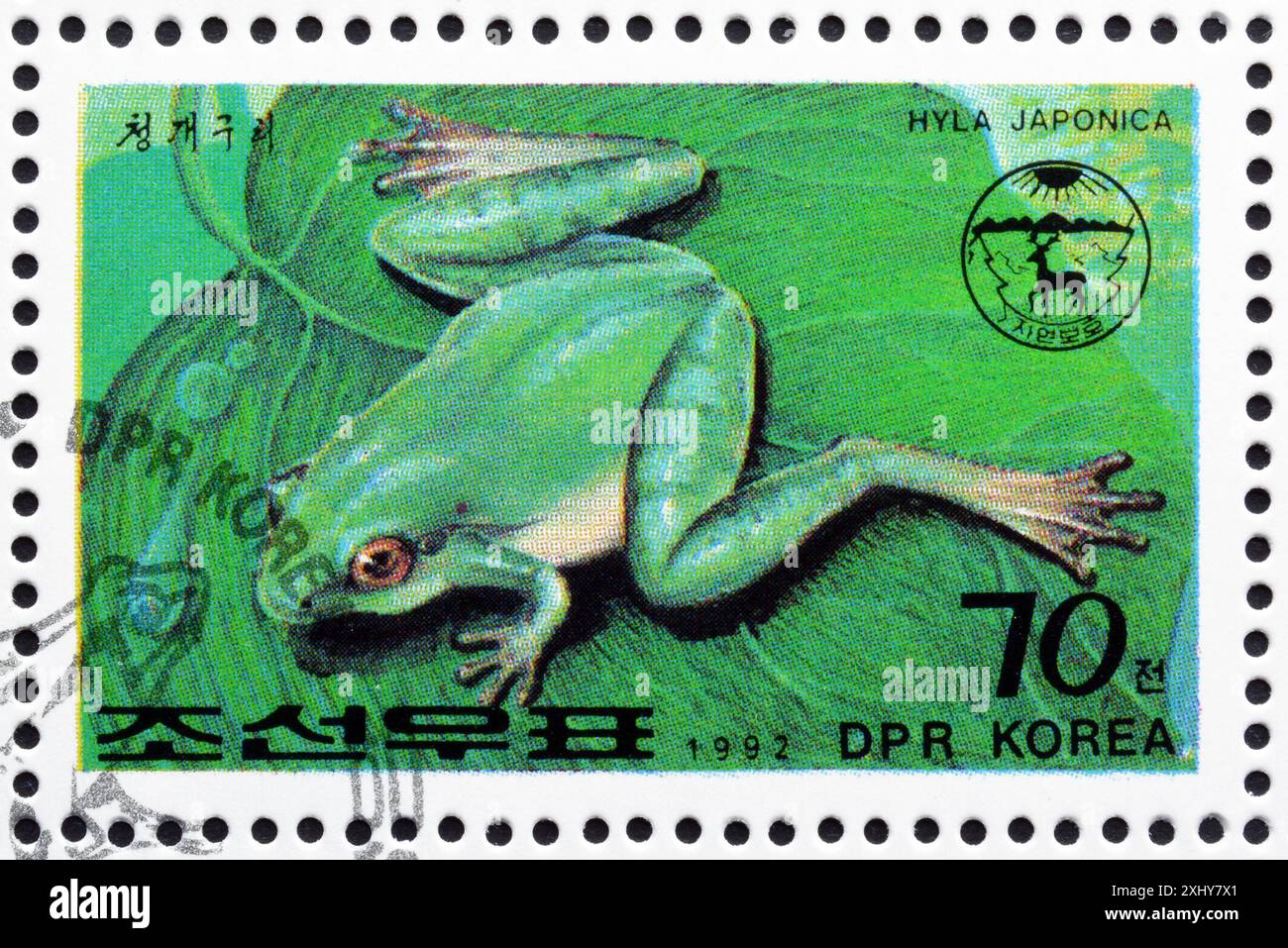 Francobollo cancellato stampato dalla Corea del Nord, che mostra la rana albero giapponese (Hyla japonica), circa 1992. Foto Stock