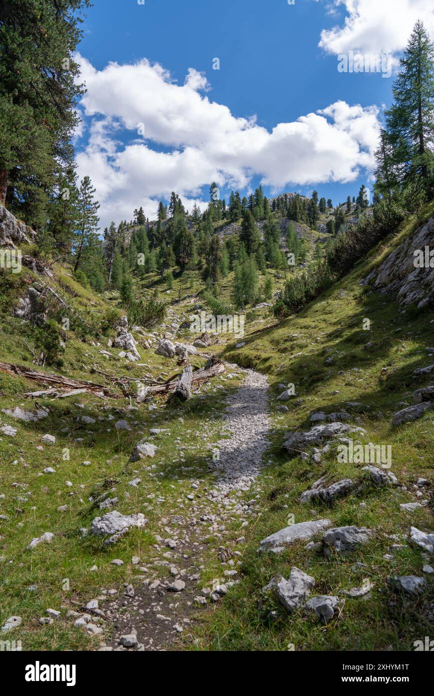 Rocce alte. Alpi in Italia. Alto Adige. Dolomiti. Paesaggio verde con pietre e alberi. Sentieri sulle montagne. Viaggiare. Luoghi turistici. Bella na Foto Stock