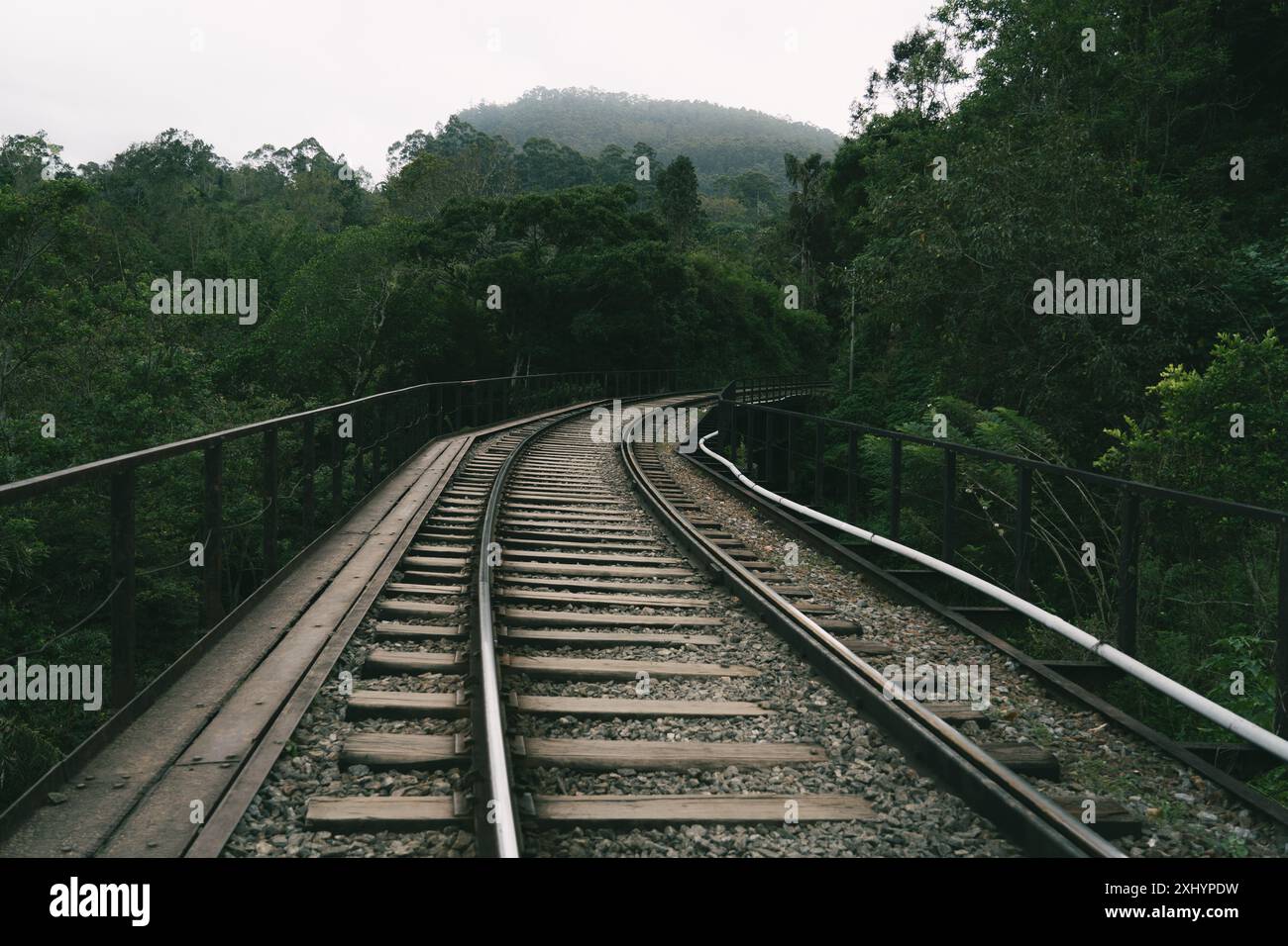 Un binario ferroviario curvo che attraversa una lussureggiante foresta verde con colline nebbiose sullo sfondo. Ella, Sri Lanka. Foto Stock