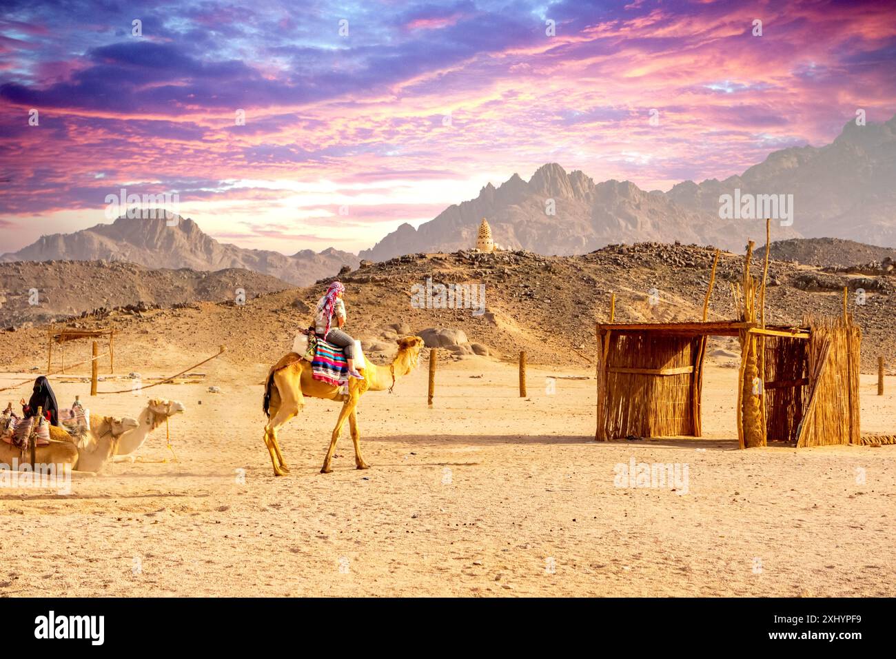 Villaggio beduino, deserto orientale vicino a Safafa, Egitto, Africa Foto Stock