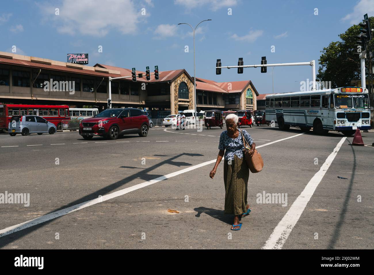 Una donna anziana attraversa un trafficato incrocio urbano con auto e autobus a Galle, Sri Lanka. La vita quotidiana in città. Foto Stock