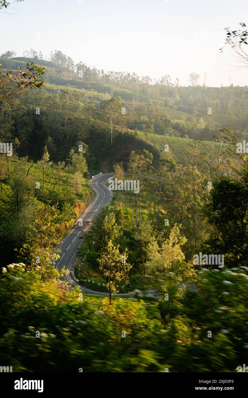 Una strada tortuosa attraverso lussureggianti colline verdi e fitta foresta sotto un cielo limpido con luce soffusa del sole mattutino che illumina il paesaggio. Sri Lanka. Foto Stock