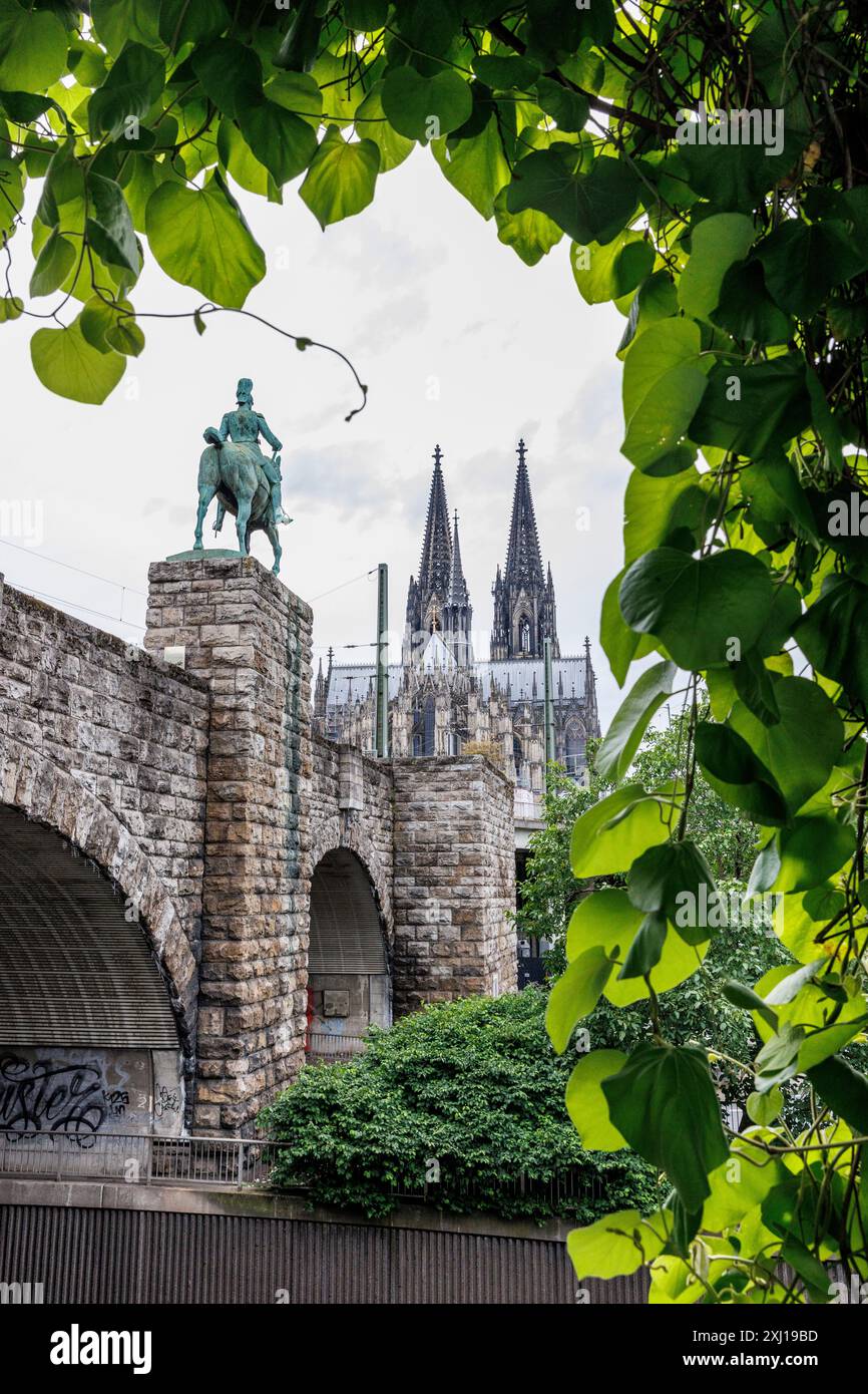 Pipevina (Aristolochia macrophylla) che cresce sulla scalinata fino al ponte Hohenzollern, statua equestre e cattedrale, Colonia, Germania. Pfeifenwinde ( Foto Stock