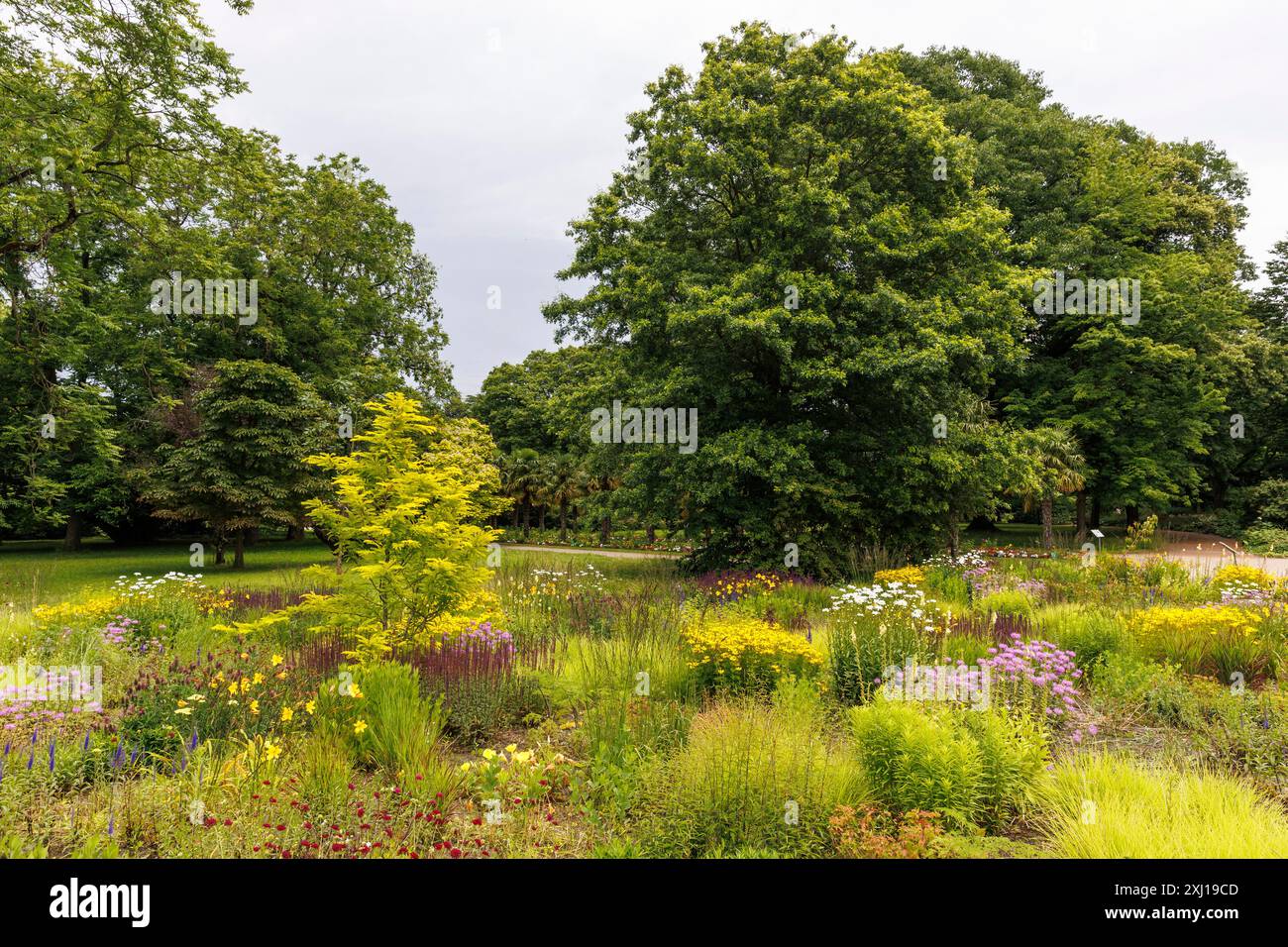 Nella Flora, l'Orto Botanico di Colonia, Germania. In der Flora, dem Botanischen Garten von Koeln, Deutschland. Foto Stock