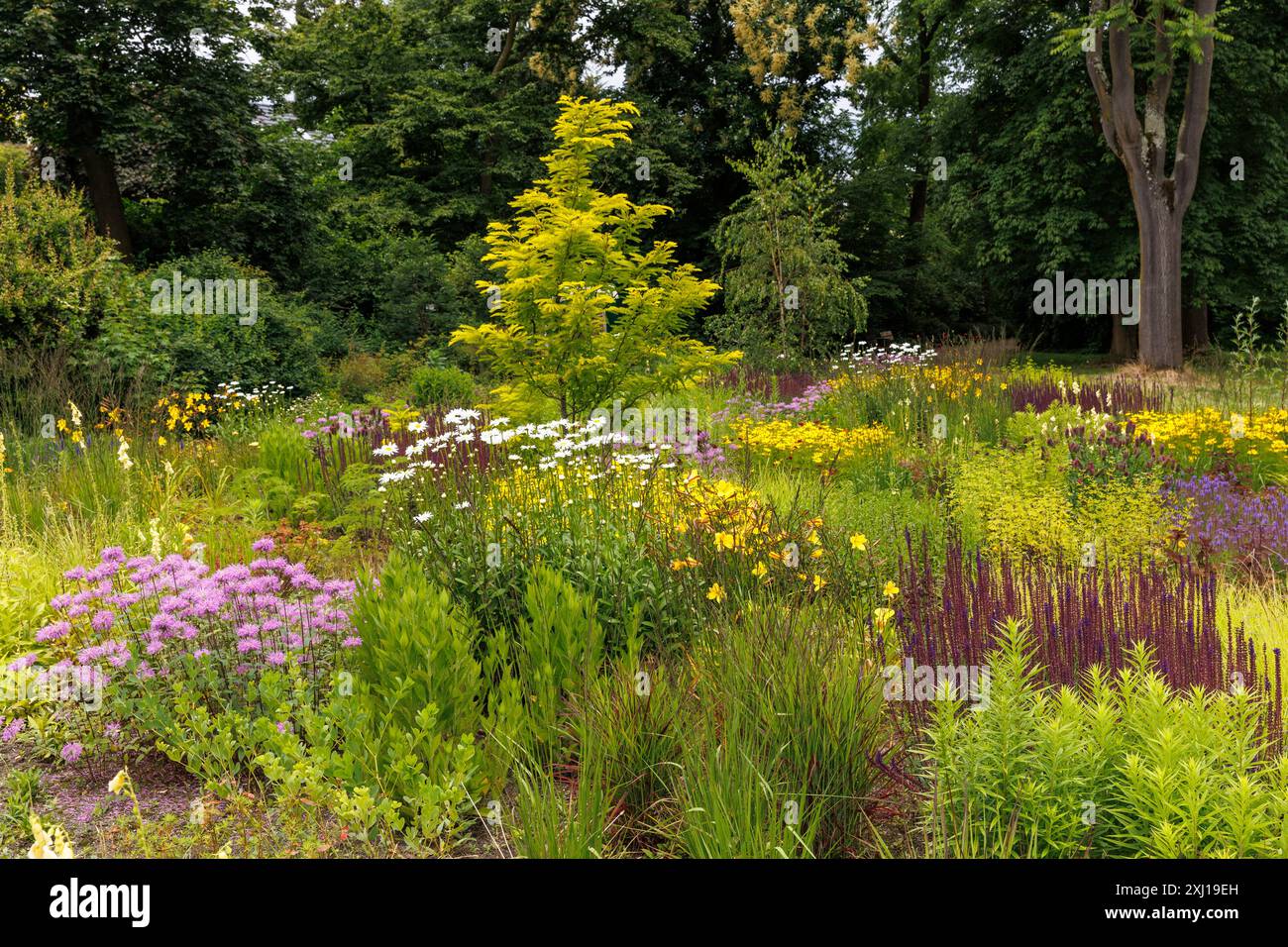 Nella Flora, l'Orto Botanico di Colonia, Germania. In der Flora, dem Botanischen Garten von Koeln, Deutschland. Foto Stock