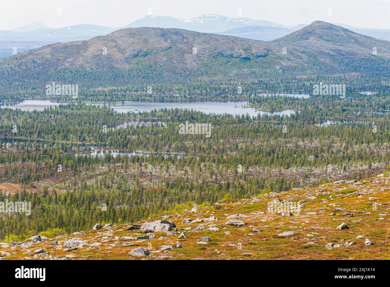 Una vista panoramica da una montagna rocciosa che si affaccia sulla riserva naturale forestale Rogen in Svezia. L'immagine cattura una vasta distesa di verde lussureggiante tre Foto Stock