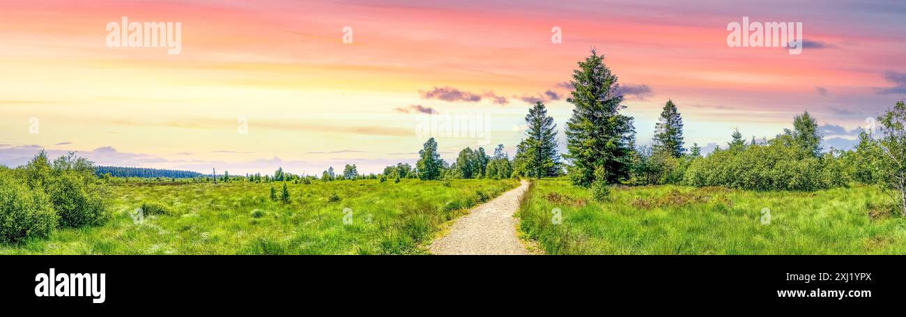 Hohes Venn, Malmedy, Belgio Foto Stock