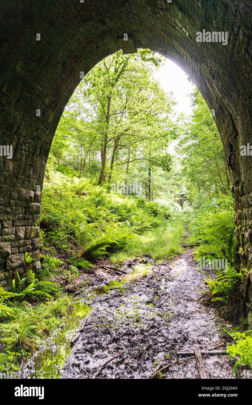 Una veduta del ponte di Mireystock dall'entrata del tunnel di Mierystock (1874) su una linea ferroviaria minerale nella Foresta di Dean vicino a Brierley, Gloucestershi Foto Stock