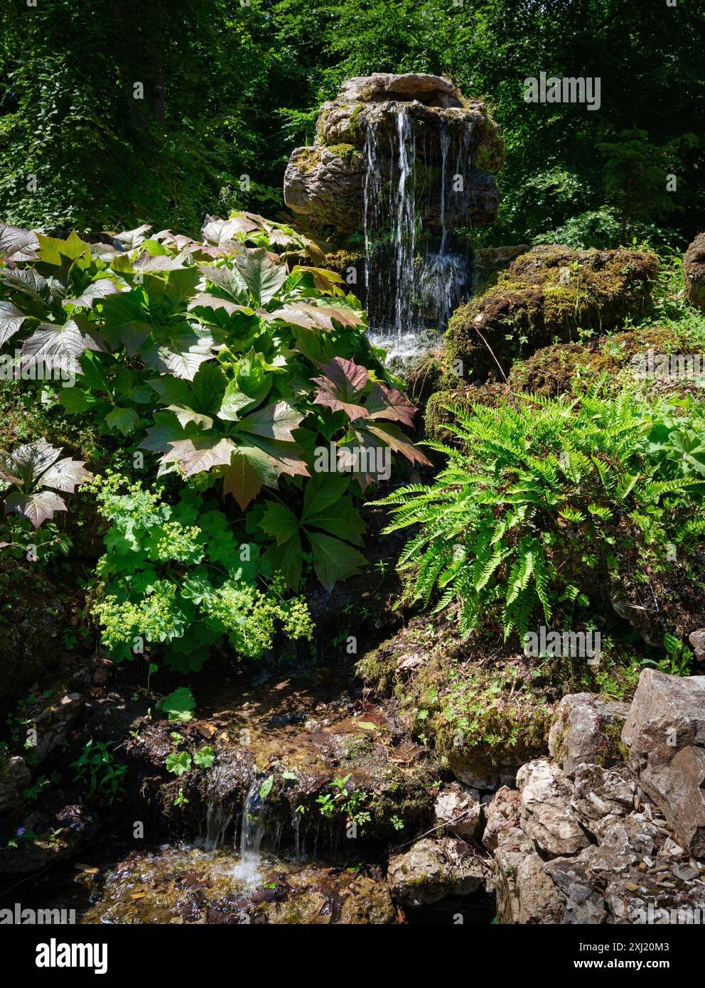 Piccola cascata e cascata nel giardino roccioso del castello di Lowther nel Lake District, Cumbria, Regno Unito Foto Stock