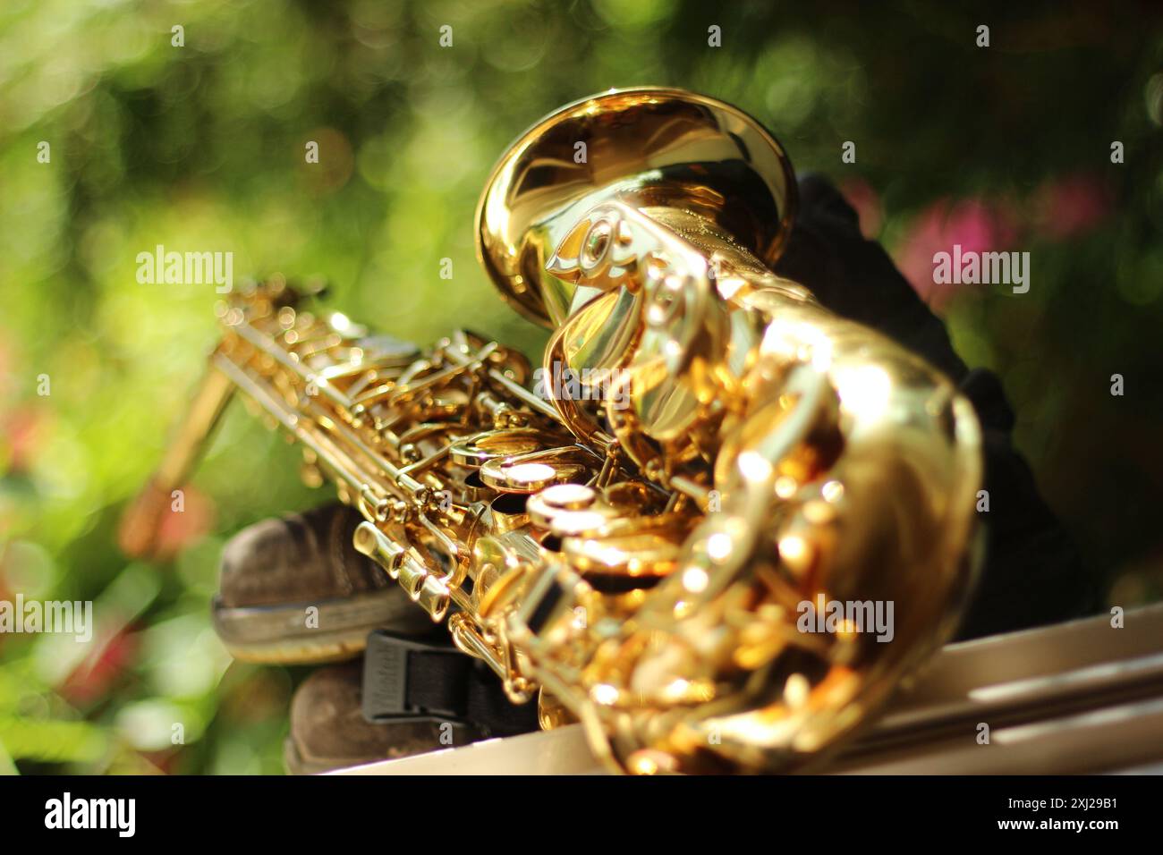 Un'immagine accattivante che si concentra sulla parte inferiore di un sassofono contralto, acquisita con un'ampia apertura. Il bellissimo effetto bokeh in mezzo a setti naturali Foto Stock