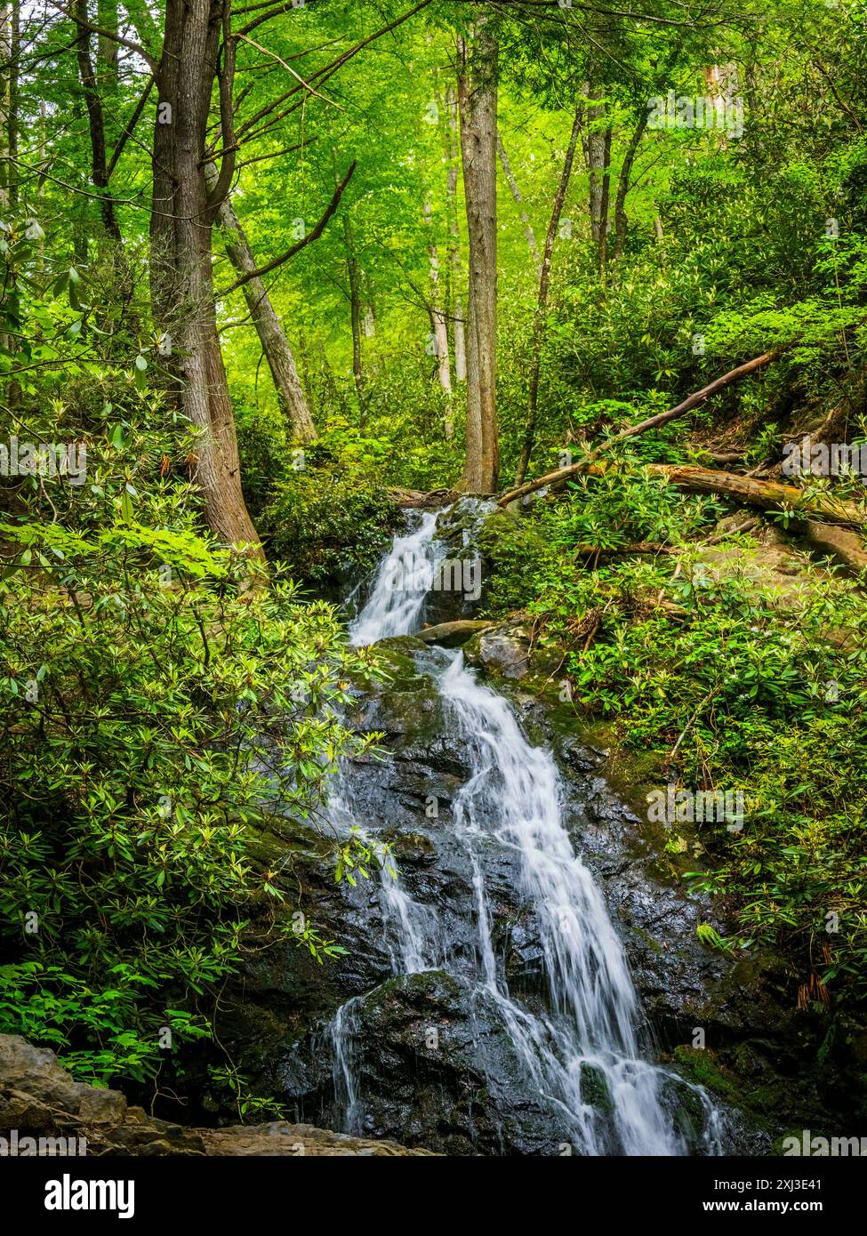 Cascate Cataract a fine primavera, inizio estate nel Great Smoky Mountains National Park in Tennessee. Foto Stock