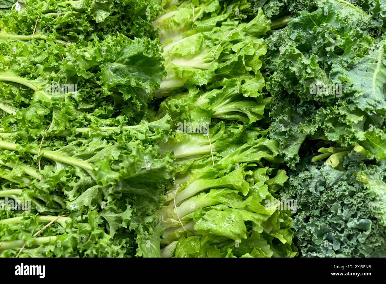 mucchio di verdure fresche a foglia verde, tra cui lattuga e cavolo Foto Stock
