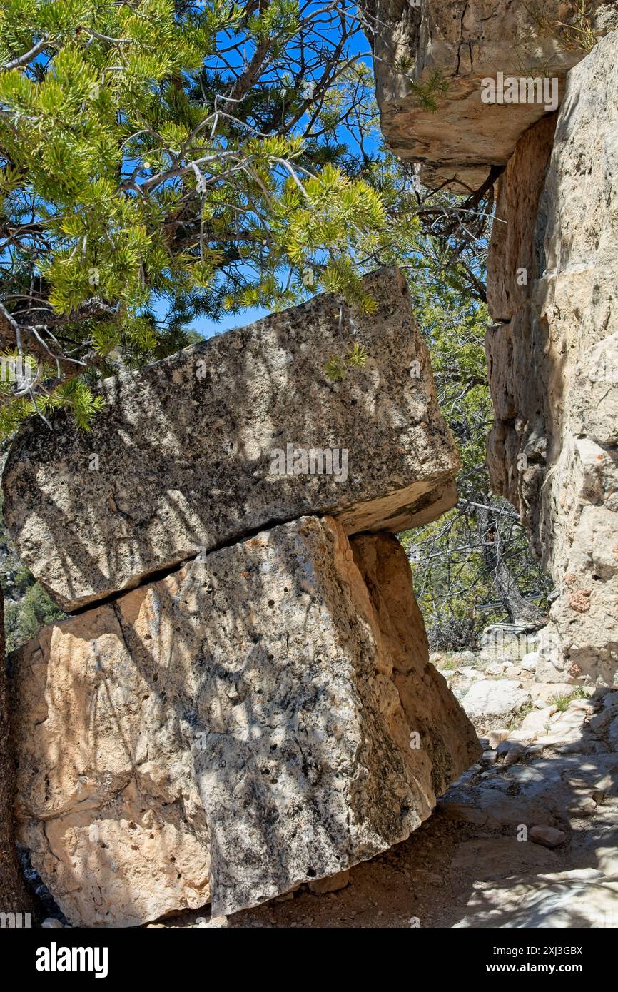 Blocchi di pietra calcarea separati dalla parete rocciosa lungo l'Island Trail presso il Walnut Canyon National Monument Foto Stock