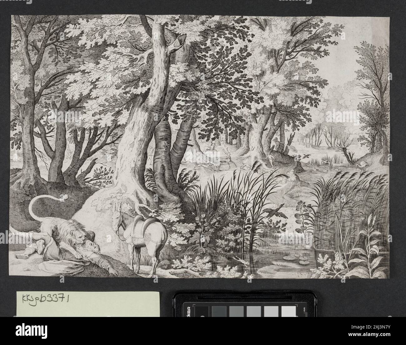 Incisione in rame di Nicolaes de Bruyn, Jacob Savery e Claes Jansz. Visscher raffigura un profeta disobbediente consumato da un leone, parte delle collezioni di stampe olandesi e fiamminghe dal 1450 al 1700. Foto Stock