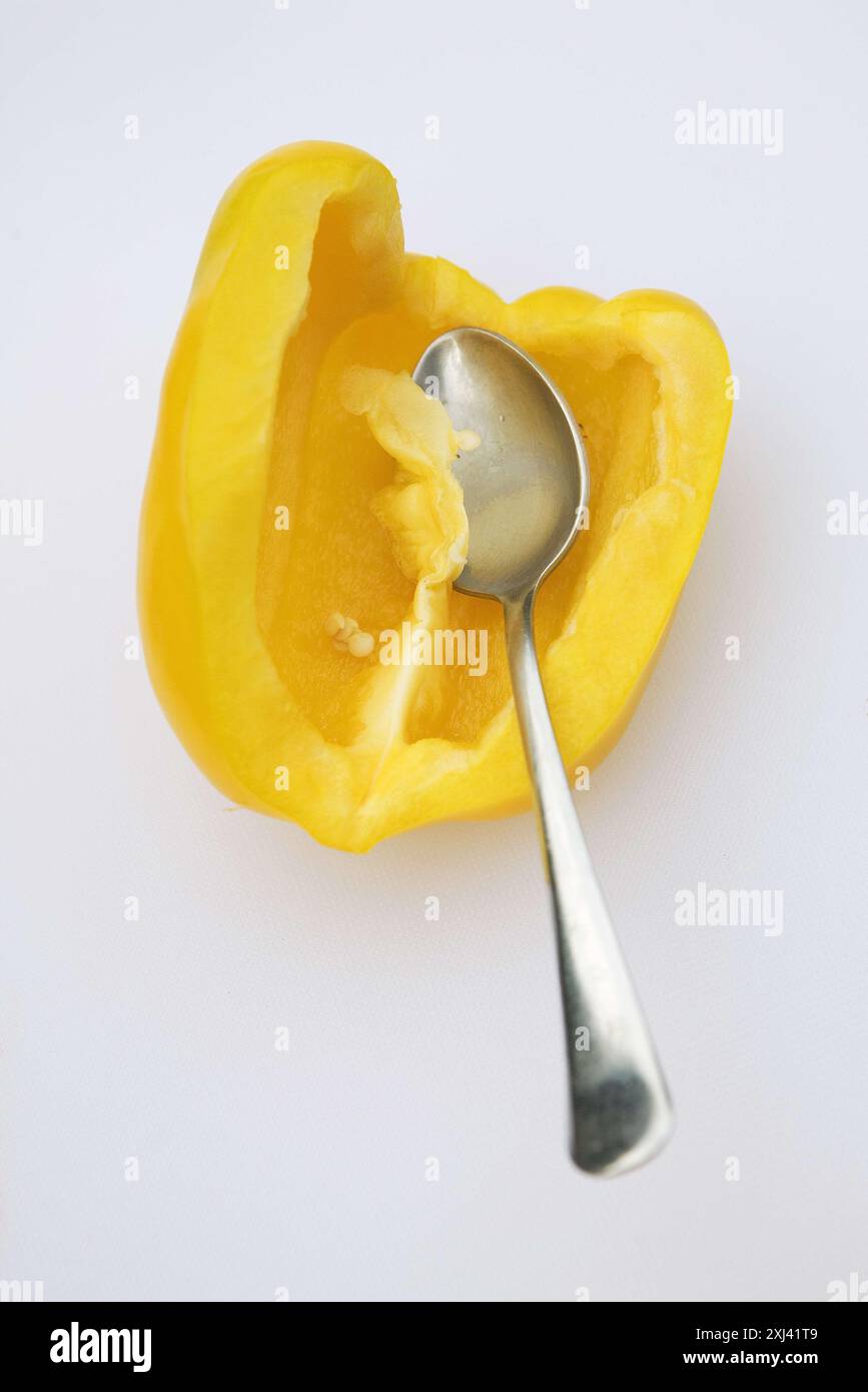 Togliere i picchetti da un peperone giallo Foto Stock