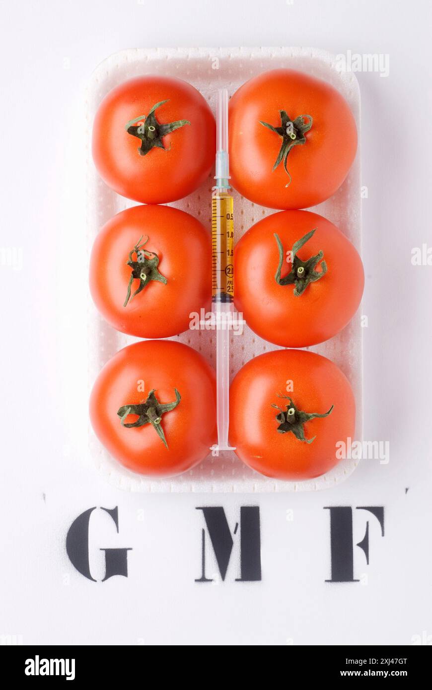 Pomodori OGM Foto Stock