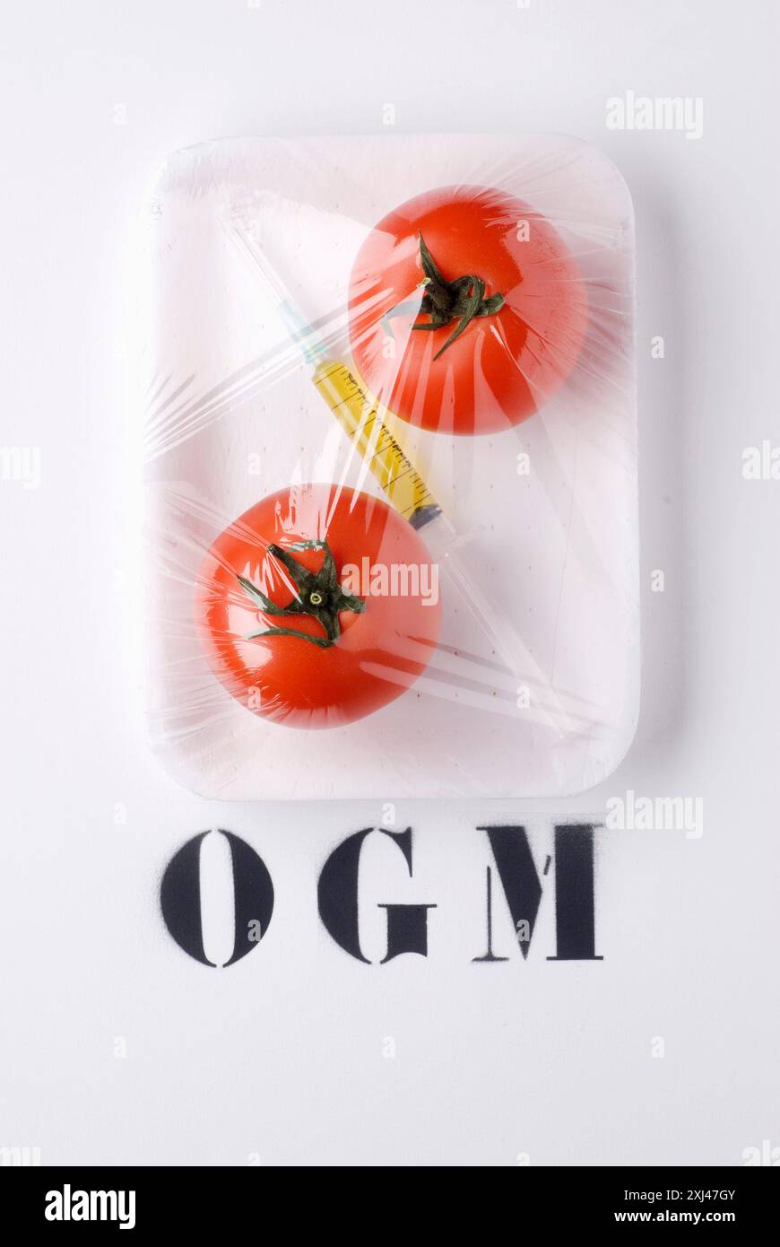 Pomodori OGM Foto Stock