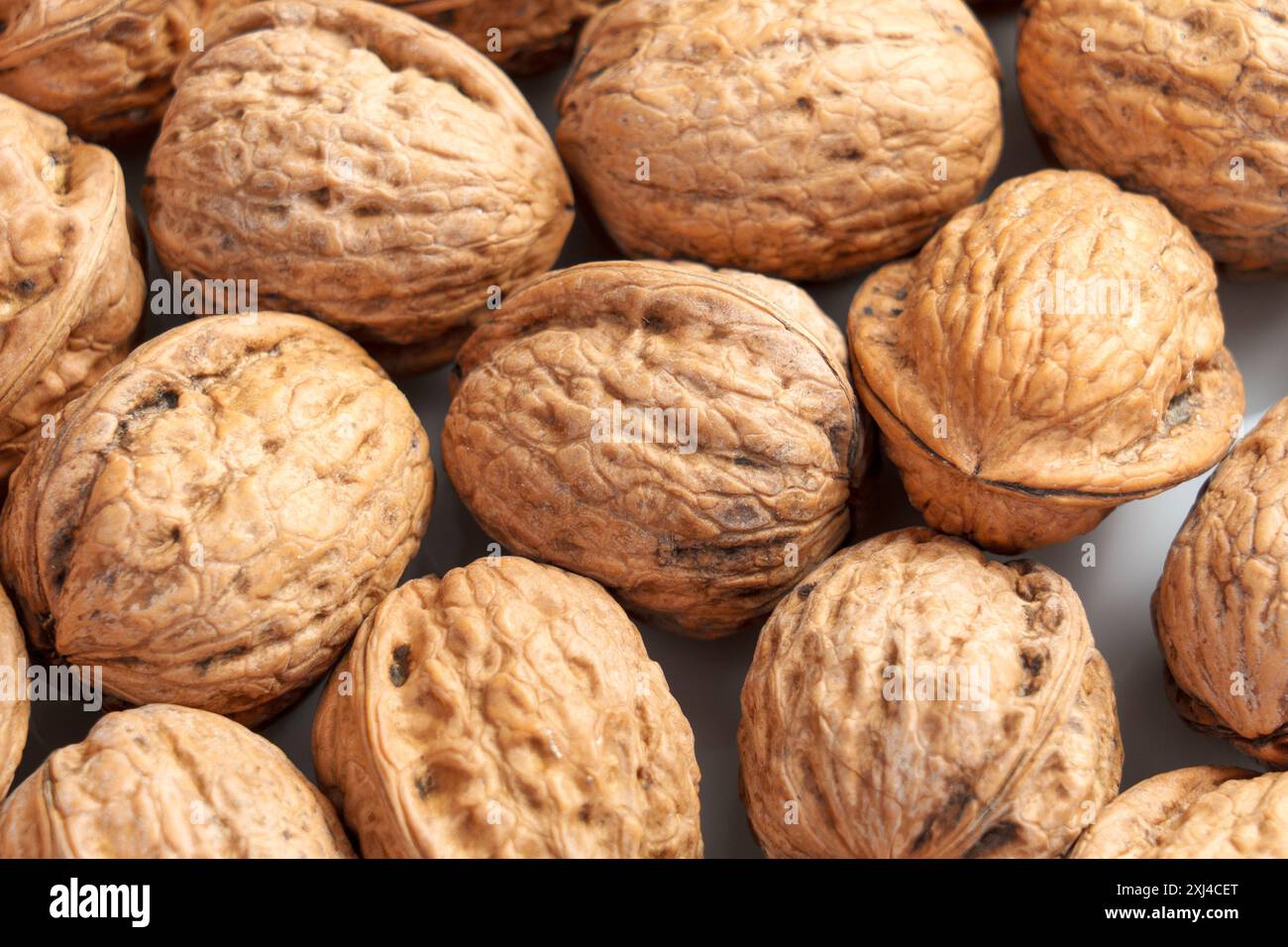 Gruppo di noci intere non sbucciate con gusci di noci come fonte di proteine e fibre. Primo piano con buccia ruvida. Foto Stock