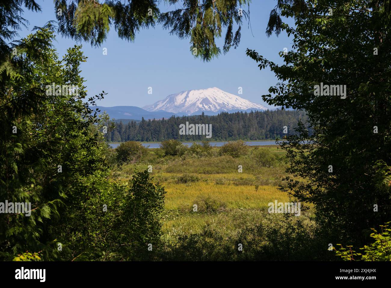 Monumento nazionale vulcanico di Mount St Helens Foto Stock