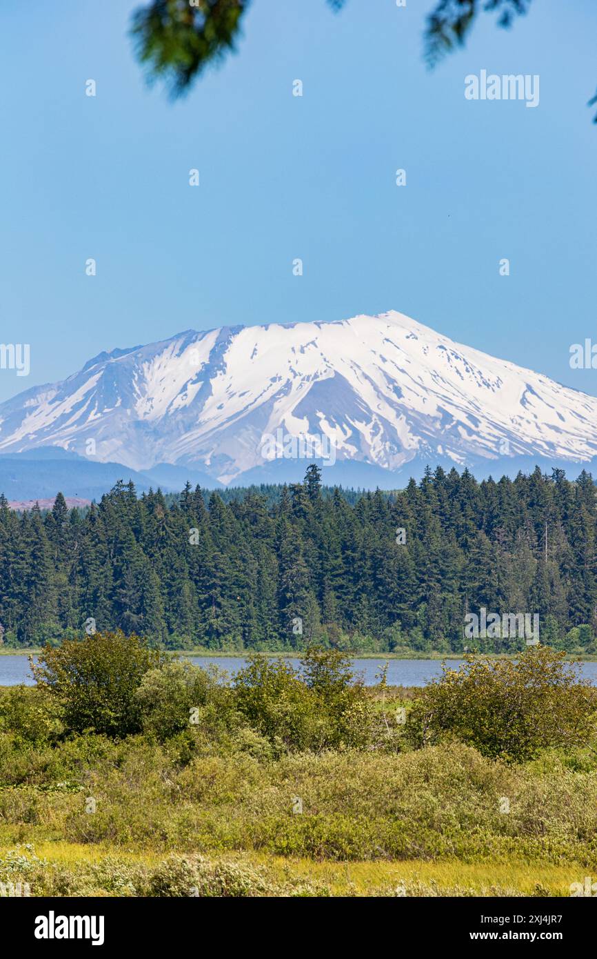 Monumento nazionale del vulcano Mount St Helens Foto Stock