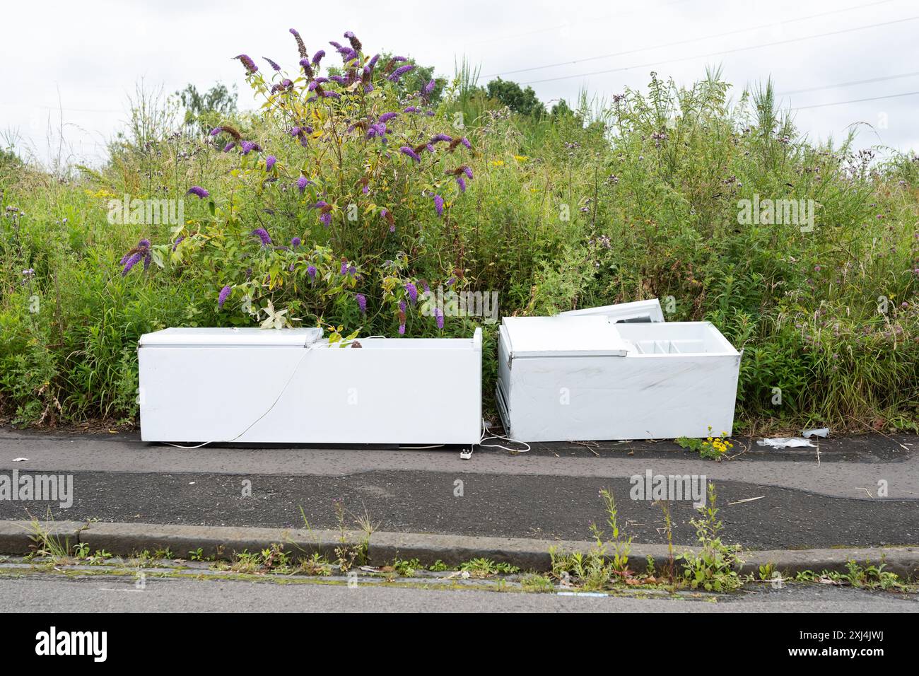 Mancia delle mosche - frigoriferi congelatori scaricati in strada, Maryhill, Glasgow, Scozia, Regno Unito Foto Stock