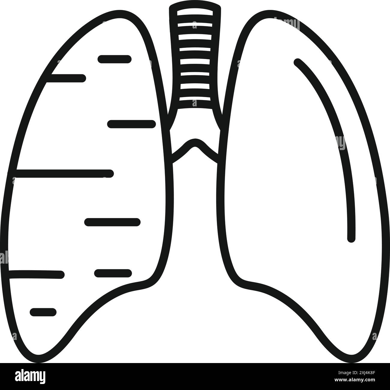 Semplice icona di disegno lineare dei polmoni umani, gli organi essenziali del sistema respiratorio Illustrazione Vettoriale