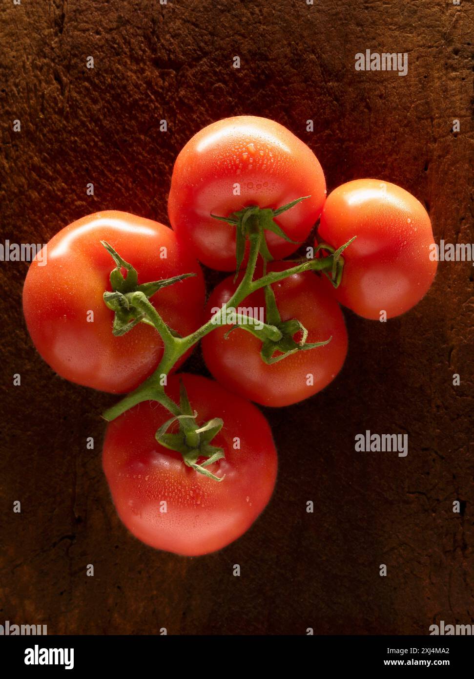 Grappolo di pomodori Foto Stock