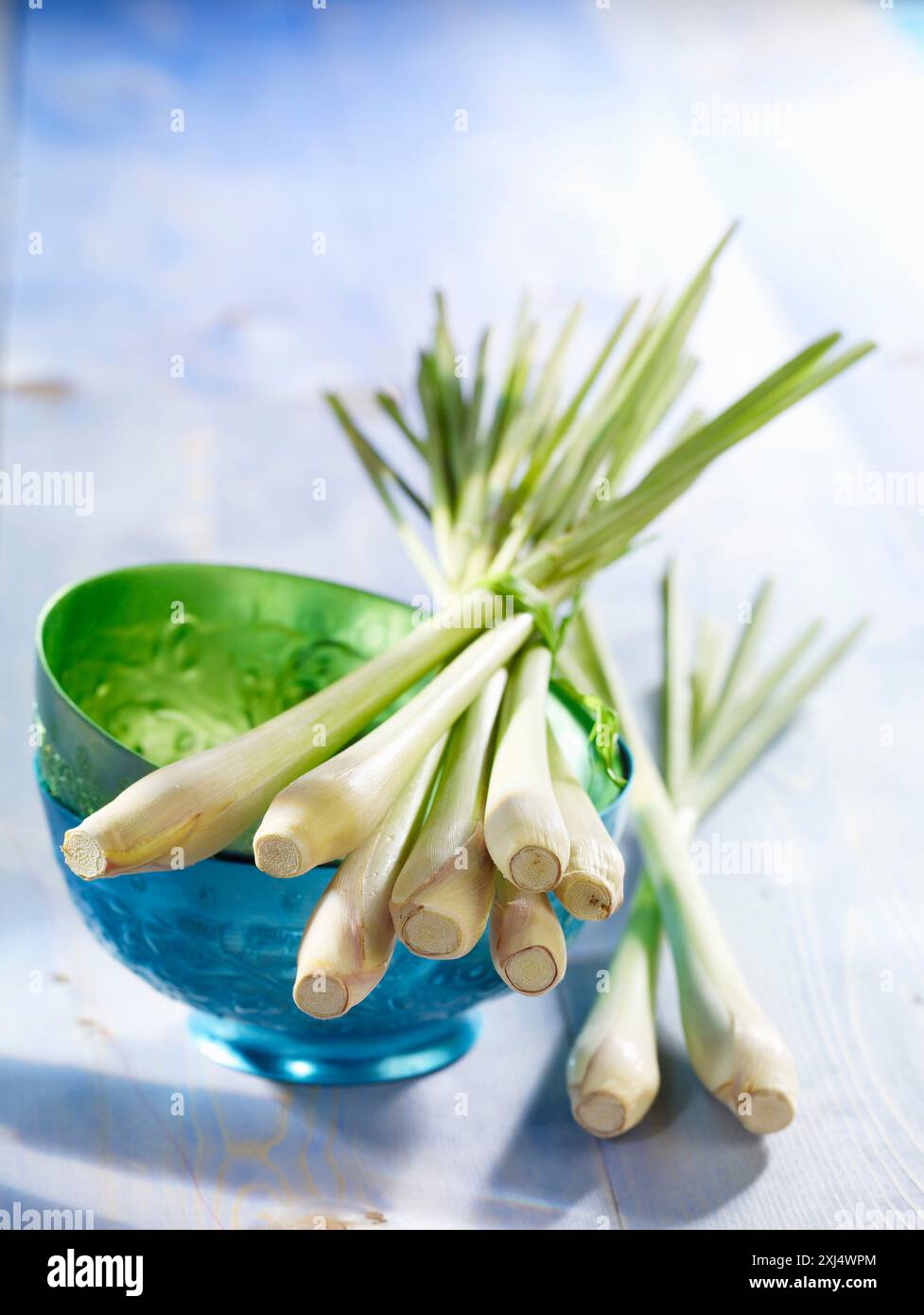 Pacchetto di citronella fresca Foto Stock Pacchetto di citronella fresca Foto Stock