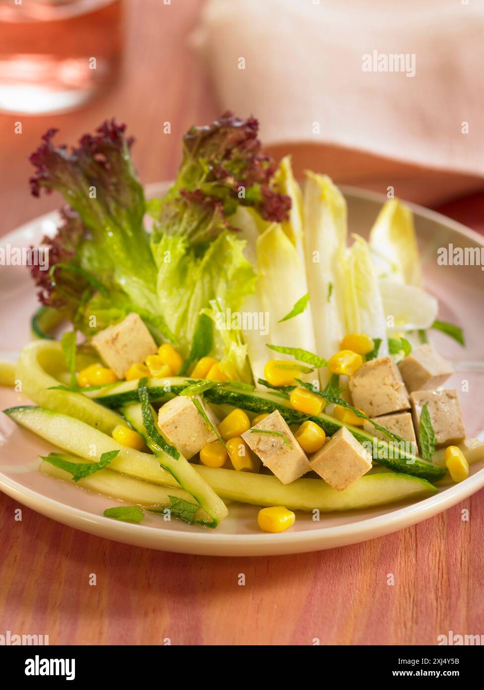 Insalata di cicoria, cucciolo e tofu Foto Stock
