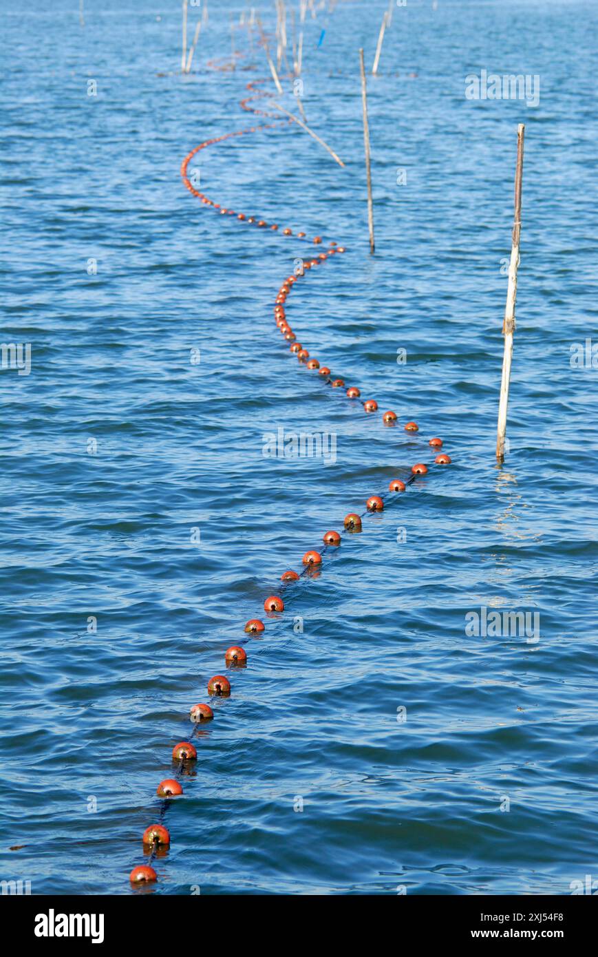 Rete da pesca galleggiante in acqua Foto Stock